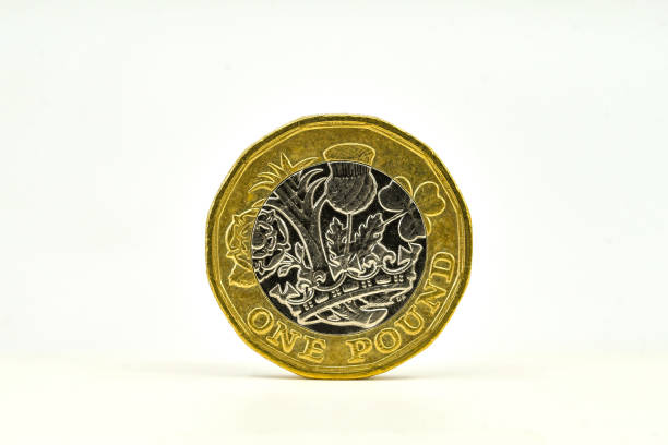 moneda británica de una libra aislada sobre un fondo blanco liso - one pound coin coin uk british currency fotografías e imágenes de stock