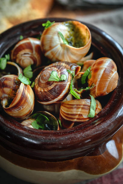 istock French Escargot Snails with Herb Butter 1487141215