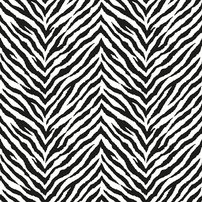 Zebra stripes seamless zigzag pattern. Tiger stripes skin print design. Wild animal hide artwork background. Black and white vector illustration