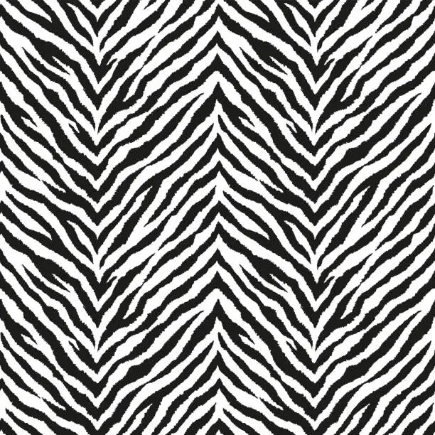 Vector illustration of Zebra stripes seamless zigzag pattern. Tiger stripes skin print design. Wild animal hide artwork background. Black and white vector illustration