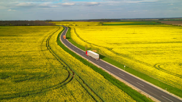 istock AERIAL: Delivery trucks driving along motorway surrounded with rapeseed fields 1487141265