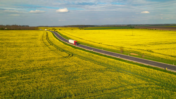 istock AERIAL: Cargo trucks driving on motorway road passing by yellow blooming fields 1487141277