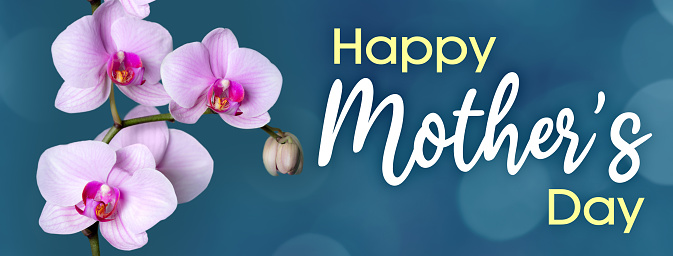 Happy Mother's Day lettering with beautiful orchid flowers. Nice defocused lights bokeh background.