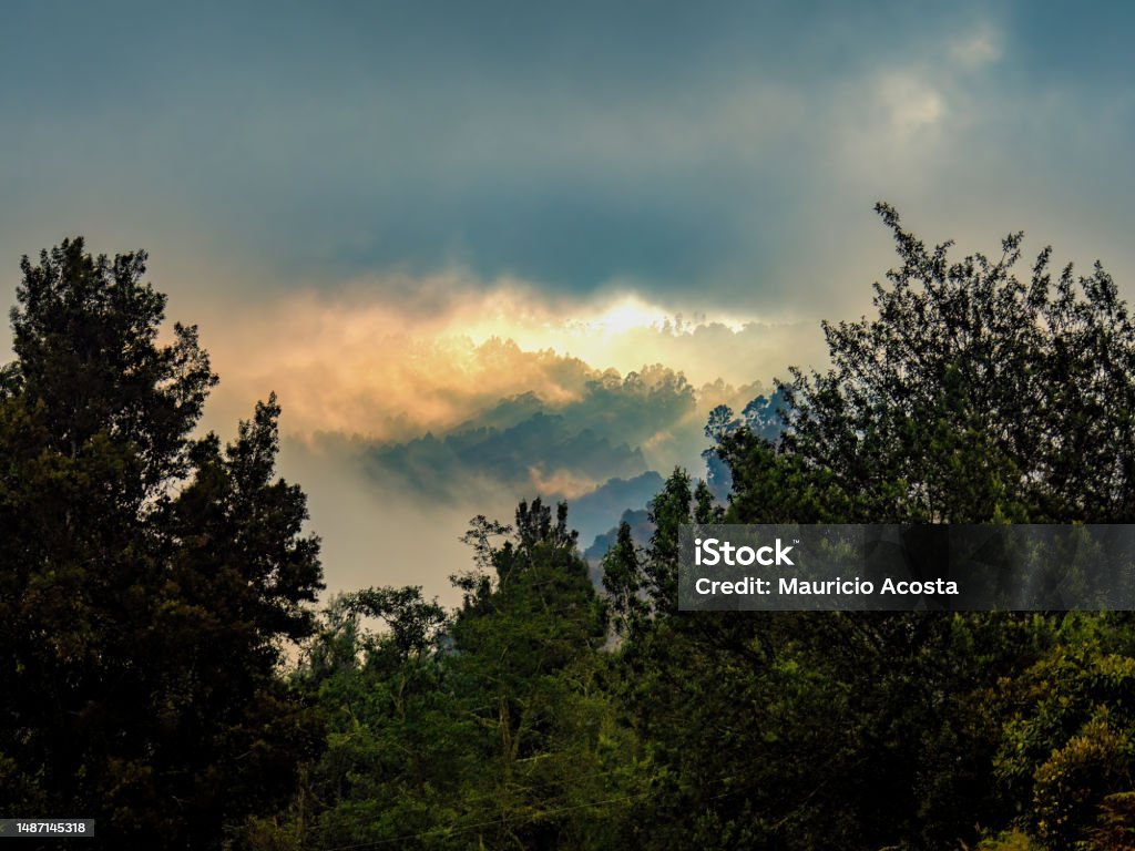 Sun Rising Effect A Beautiful Light Effect Caused By The Sun Rising Behind A Dense Mist ...