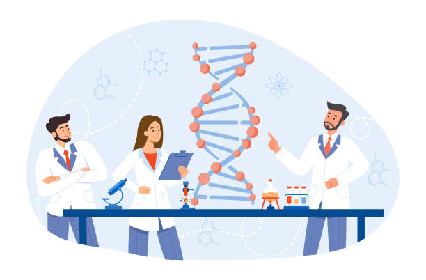People study DNA People study DNA. Doctors, men and woman in medical gowns study structure of cell. Chemical research in laboratory. Scientists develop drugs and medicines. Cartoon flat vector illustration scientist in biology lab stock illustrations