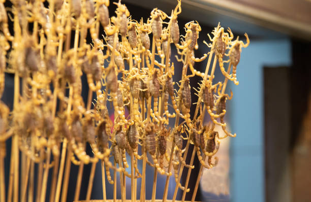 istock Cooked and tasty Scorpions on a stick 1487148546