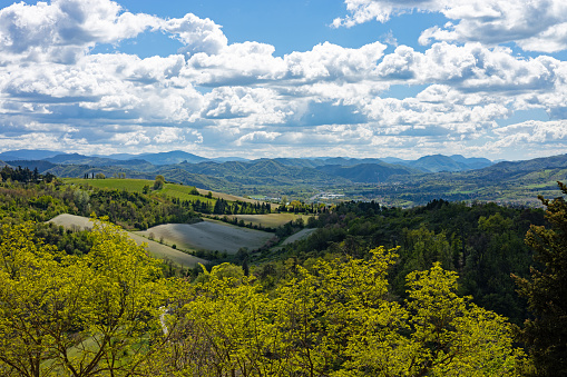 Rolling landscape with Lyon in background taken near Saint-Pierre-la-Palud and Pollionnay town in the Monts du Lyonnais mountains near Beaujolais in Rhone, Auvergne-Rhone-Alpes in France, during sunny spring day.