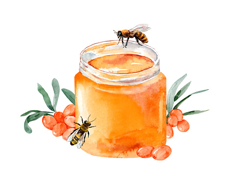 Honey illustration. Watercolor jar of honey with sea buckthorn and bees. Sweet honey logo isolated on white. honey branding.