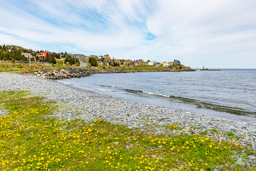 Seascape at Witless Bay, Newfoundland and Labrador, Canada.