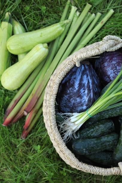 istock Tasty vegetables with wicker basket on green grass, top view 1487153707