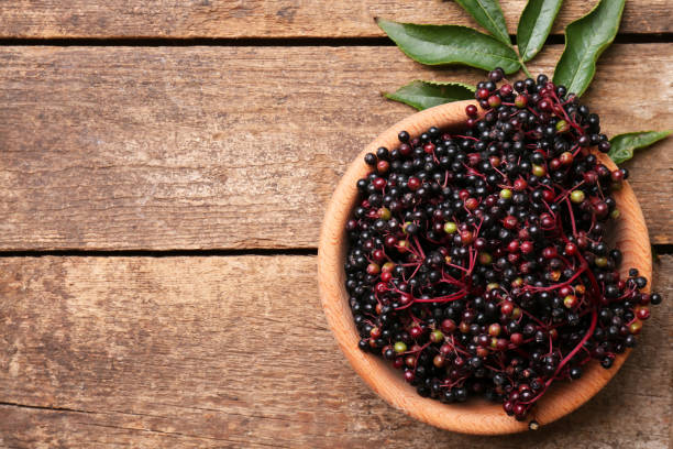 istock Bowl with tasty elderberries (Sambucus) on wooden table, top view. Space for text 1487153818
