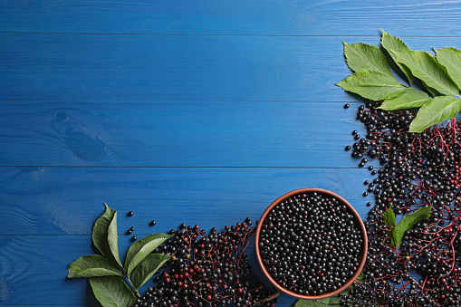 Ripe elderberries with green leaves on blue wooden table, flat lay. Space for text