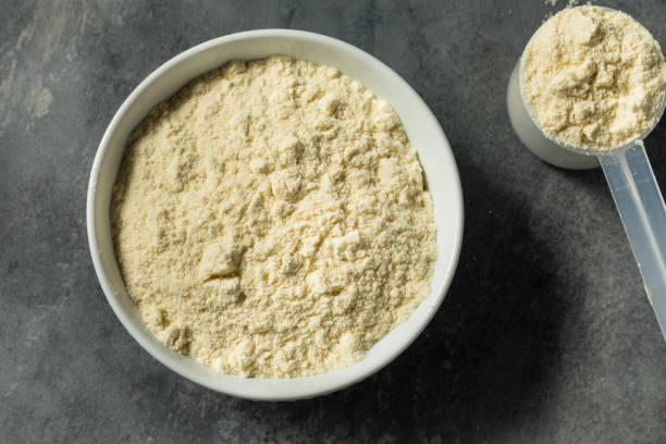istock Organic Healthy Vanilla Whey Protein Powder 1487154105