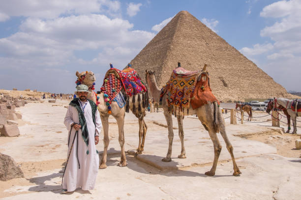 camel driver and great pyramid of giza, egypt - egypt camel pyramid shape pyramid imagens e fotografias de stock