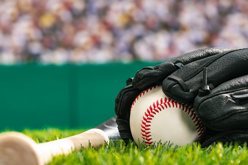 A close-up low angle view of a new baseball in a black leather glove and wooden bat sitting in the grass of a stadium with a green outfield wall and crowd in the background.
