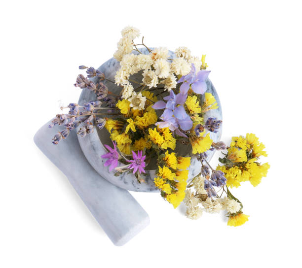 istock Marble mortar with different flowers and pestle on white background, top view 1487169184