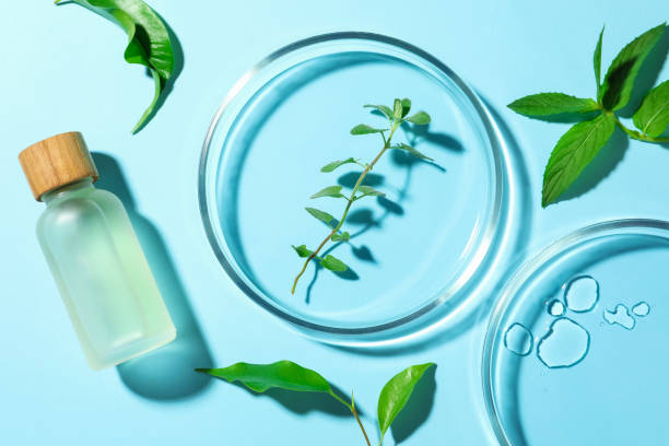 istock Flat lay composition with Petri dishes and plants on light blue background 1487170375