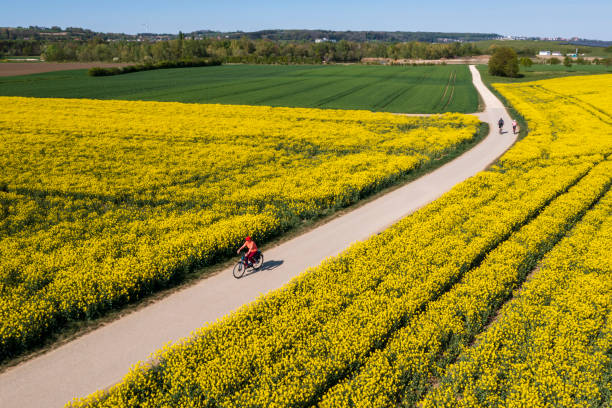istock Woman cycling in spring landscape, aerial view 1487170621