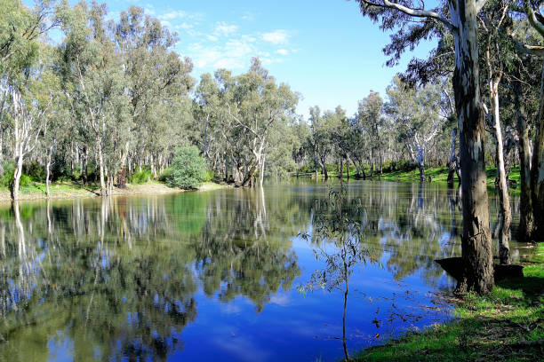 istock Lower Moira, Victoria, Australia 1487172988