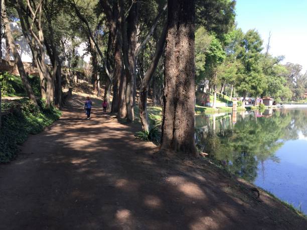 istock Trail in the forest by the lake 1487175250