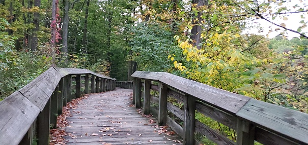 This is a photograph taken on a mobile phone outdoors of a trail with a wooden boardwalk in Cuyahoga Valley National Park in September of 2020.
