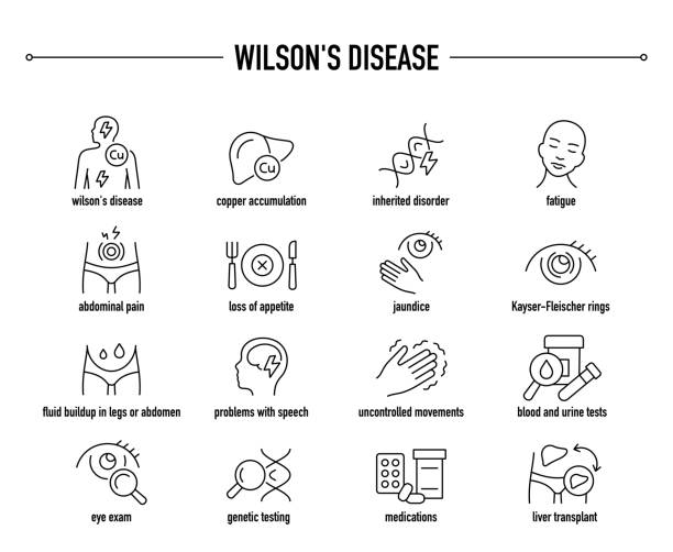 набор векторных значков болезни вильсона. строка редактируемых медицинских значков. - alexander wilson stock illustrations