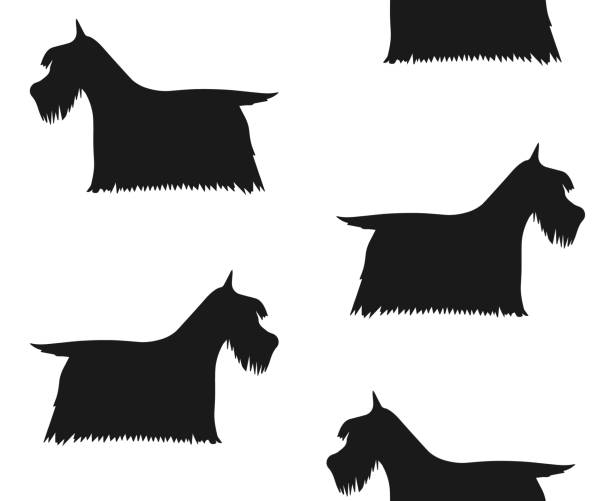 istock Vector seamless pattern of hand drawn doodle sketch Scottish terrier dog silhouette 1487182044