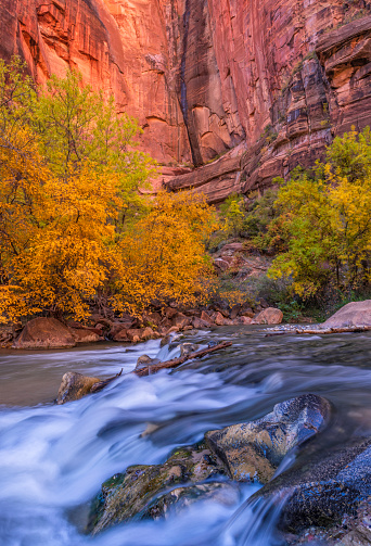 A small waterfall across the Virgin River beneath the red cliffs near the Temple of Sinawava along the Riverside Walk in Zon National Park, Utah.