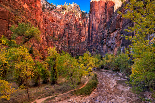 Zion Autumn Riverside Walk Overlook An overlook along rhe Riverside Walk on the Virgin River in Zon National Park, Utah. virgin river stock pictures, royalty-free photos & images