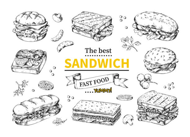 サンドイッチスケッチ。ベーグルとブルスケッタ。朝食ラップ。ビンテージ落書き食品の描画。バーのパンスナック。グルメランチ。チーズとソーセージのハンバーガー。ベクターイラスト - sandwich bread toast vector点のイラスト素材／クリップアート素材／マンガ素材／アイコン素材