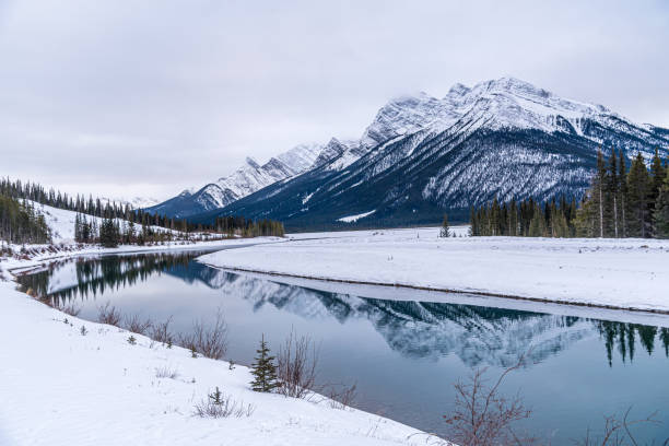 istock Goat Pond in Kananaskis Country 1487194389