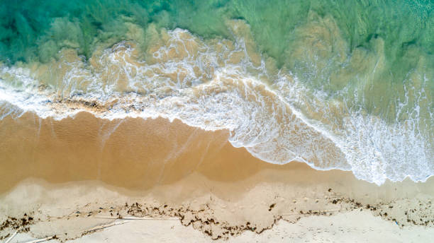 widok z lotu ptaka na piaszczystą plażę i ocean na zanzibarze - nobody africa summer tourist resort zdjęcia i obrazy z banku zdjęć