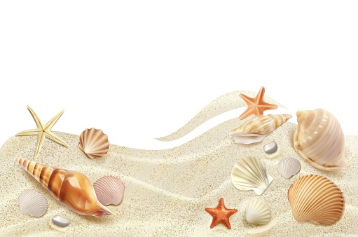 Realistic beach seaside top view. isolated vector seashells and starfish on sand summer objects. Sea conches and sandy waves view from above. Tropical ocean shore texture for vacation, holiday leisure