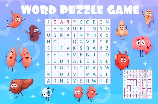 Vector illustration of Word search puzzle game worksheet. Human organs