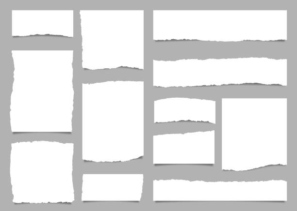 White torn paper rip pieces of note sheet edges White torn paper rip pieces of sheet edge, note scrap or notebook pages, vector backgrounds. Notepad torn paper for message note, page or banner and cardboard blank ripped piece strips at the edge of stock illustrations