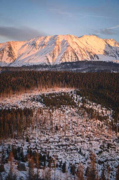 istock Beautiful early spring mountain landscape. 1487205189