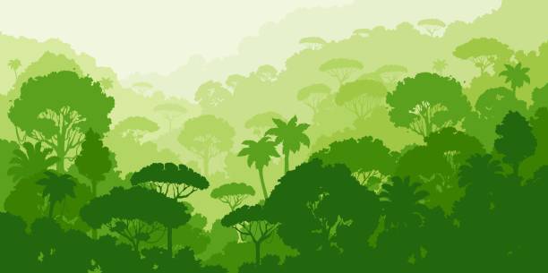 Jungle forest silhouette tropical vector landscape Jungle forest silhouette, tropical vector landscape with exotic flora, palm trees and hills. Rainforest vegetation, plants 2d cartoon wild forest natural parkland. Wildlife environment in green colors amazonia stock illustrations