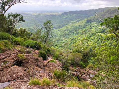 Horizontal landscape photo of the view towards the coast, and a rocky outcrop, with a variety of native plants, shrubs, trees and ferns growing in the lush rainforest landscape of the Koonyum Ranges in the Byron Bay hinterland, northern NSW.