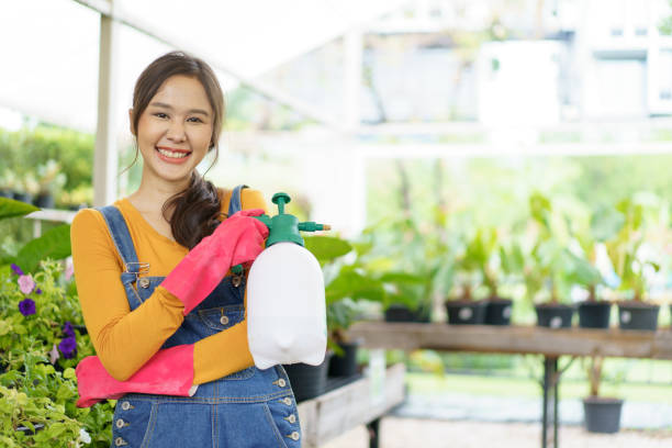 istock Woman watering a tree in glass house. 1487214985