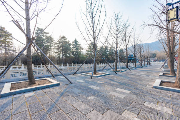 istock Taiyuan Jinci Park landscape 1487217837