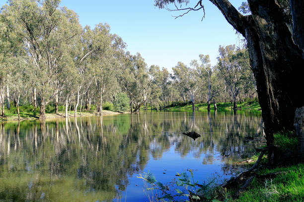 istock Lower Moira, Victoria, Australia 1487219284