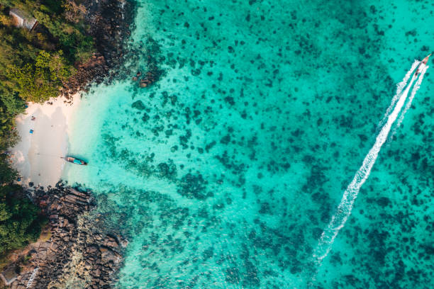 istock tropical island view in summer, seaside vacation in summer 1487225745