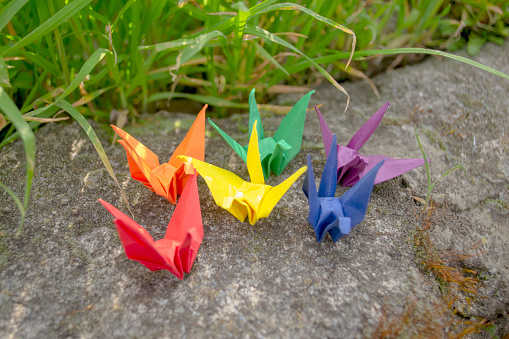 Paper cranes stand on a stone next to the green grass. A lot of paper cranes in the colors of the flag of the LGBTQ community. LGBT flag with paper cranes.