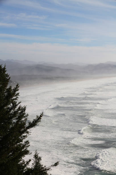 istock The Very West Coast 1487228753