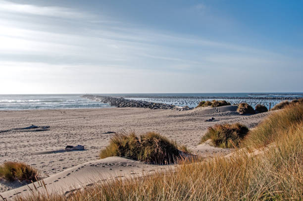 Late summer at Ziolkouski Beach Park and the Oregon Dunes National Recreational Area.