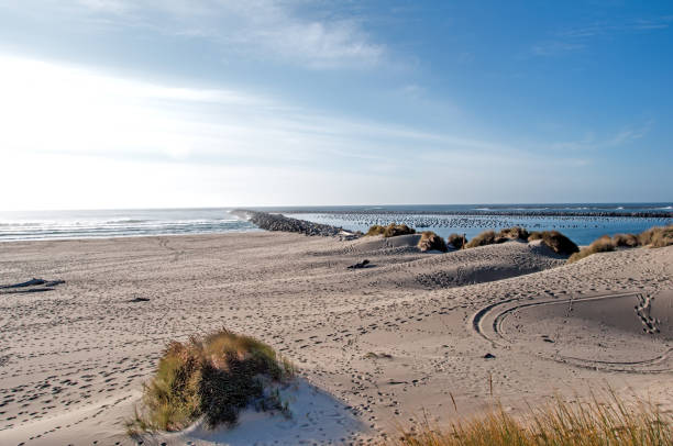 istock Ziolkouski Beach Park 1487229143