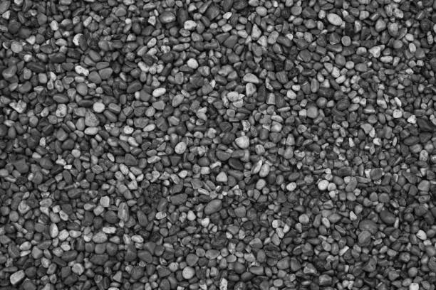 istock Path made of pebbles. Background from small stones. 1487231166