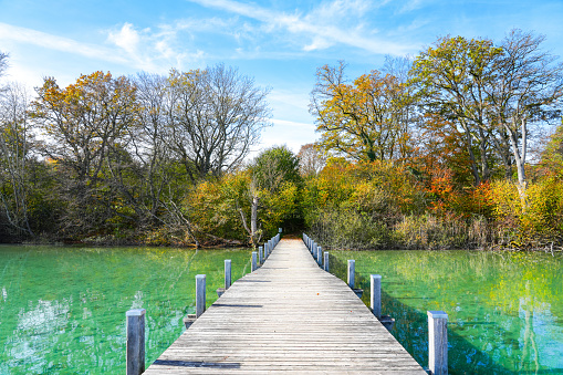 Idyllic autumn landscape by the lake with a wooden pier.
