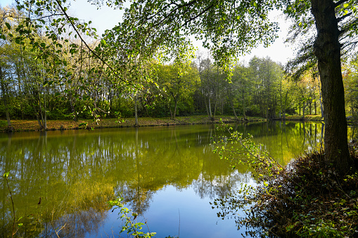 Cloud reflections ona rural lake in Hungary in the Panorama format