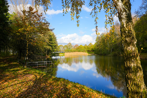 Autumn colours reflected in a pond